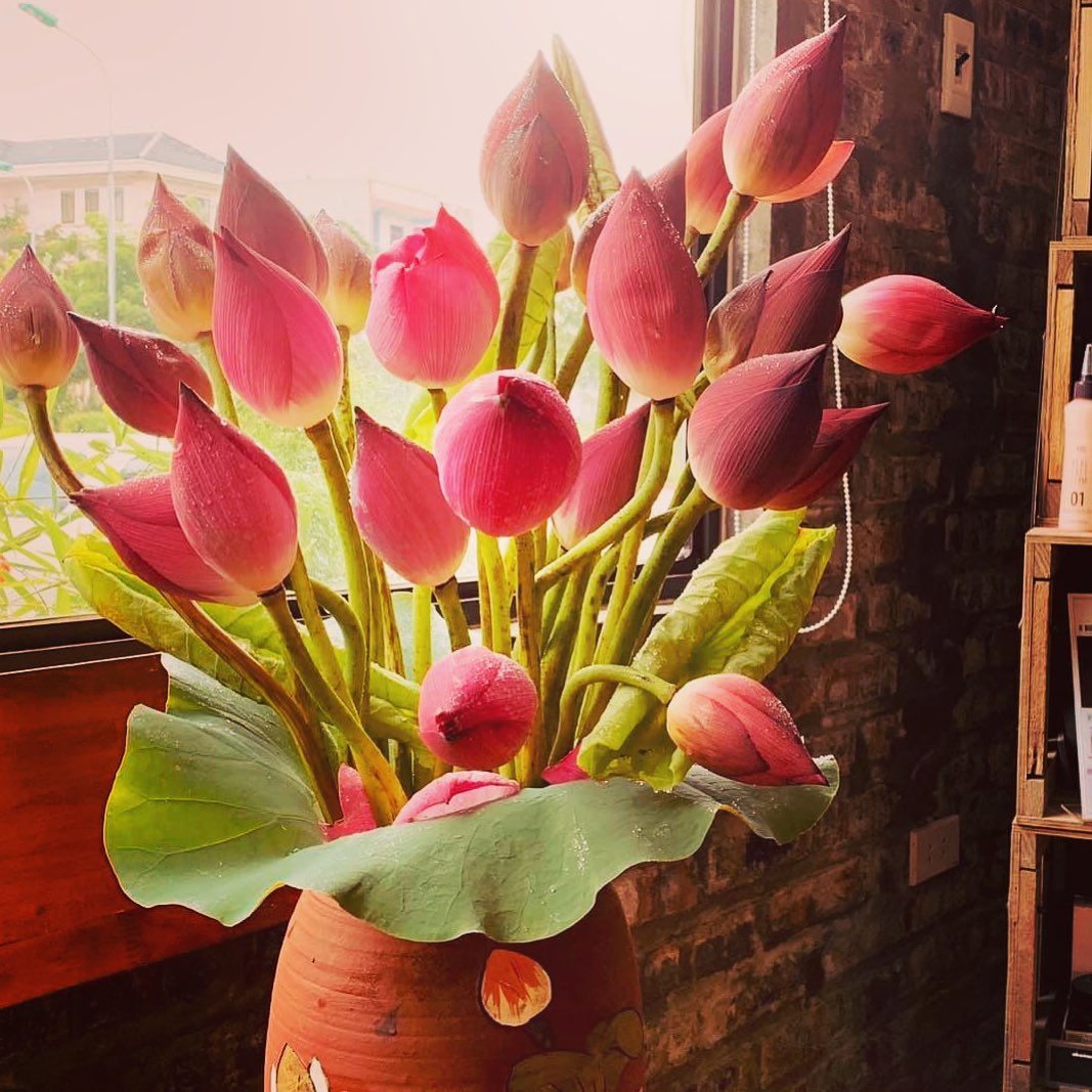 Cắm hoa bàn thờ: Cắm hoa trên bàn thờ là một cách rất tuyệt vời để tôn vinh linh hồn và sự trang trọng của ngôi nhà bạn. Hãy khám phá những bí quyết để sắp đặt hoa một cách cẩn thận và tinh tế để tạo nên một không gian thật sự thiêng liêng cho gia đình.